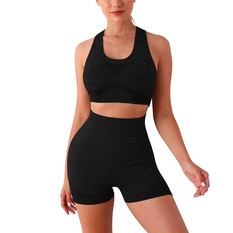 The Elevate Seamless Crop Set (2PC)