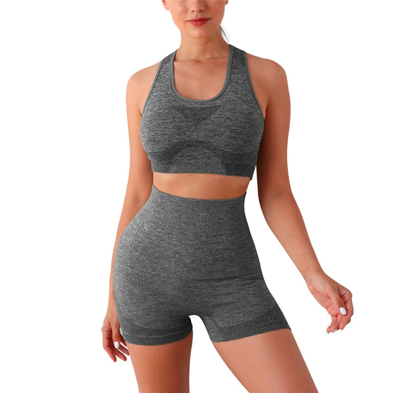 The Elevate Seamless Crop Set (2PC)