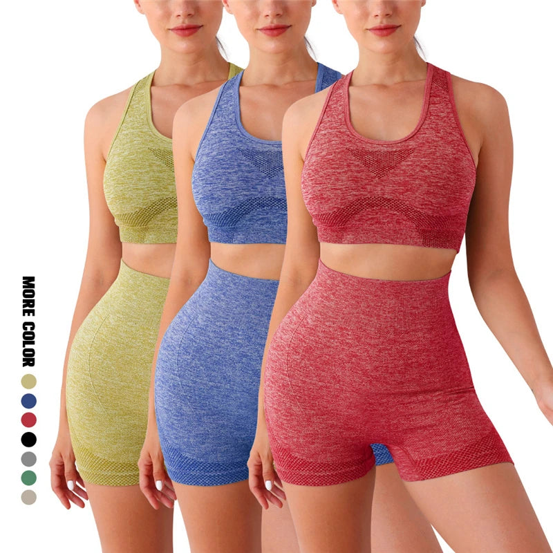 The Elevate Seamless Crop Set (2PC)